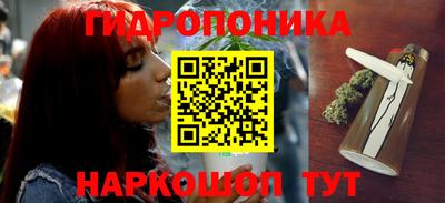 шишки Среднеуральск