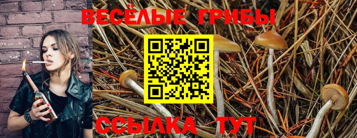 Галлюциногенные грибы GOLDEN TEACHER Ногинск