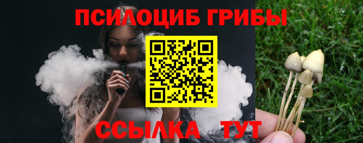 Ногинск  Галлюциногенные грибы прущие грибы  Вход с VPN 